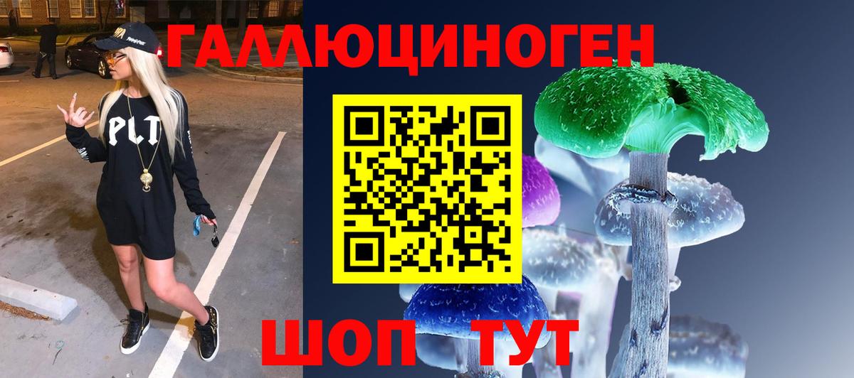 Псилоцибиновые грибы прущие грибы Пушкино
